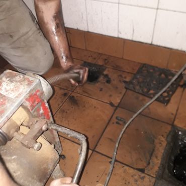 Destapacion de tapa cloacal